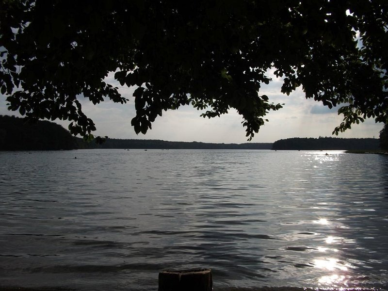 Pic127.jpg