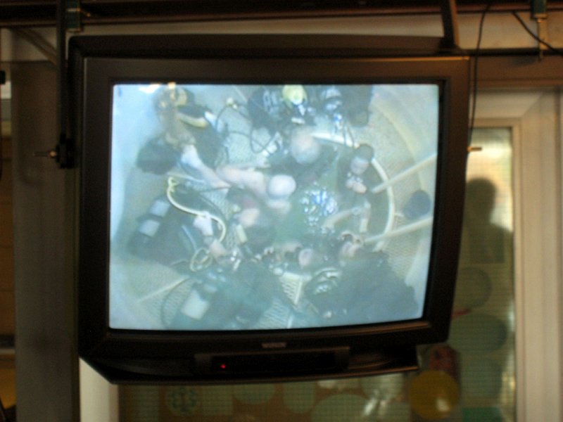 pic23.jpg