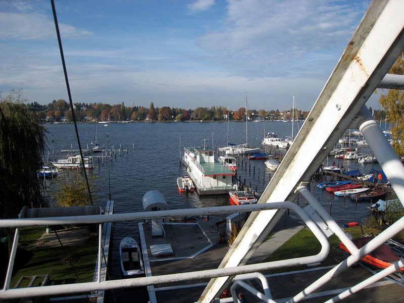 pic24.jpg