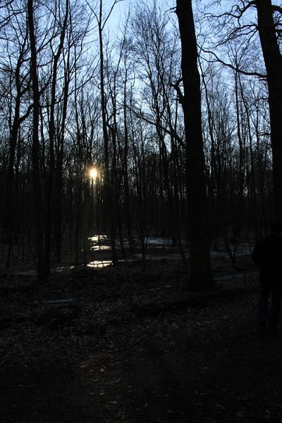 IMG_0338.JPG