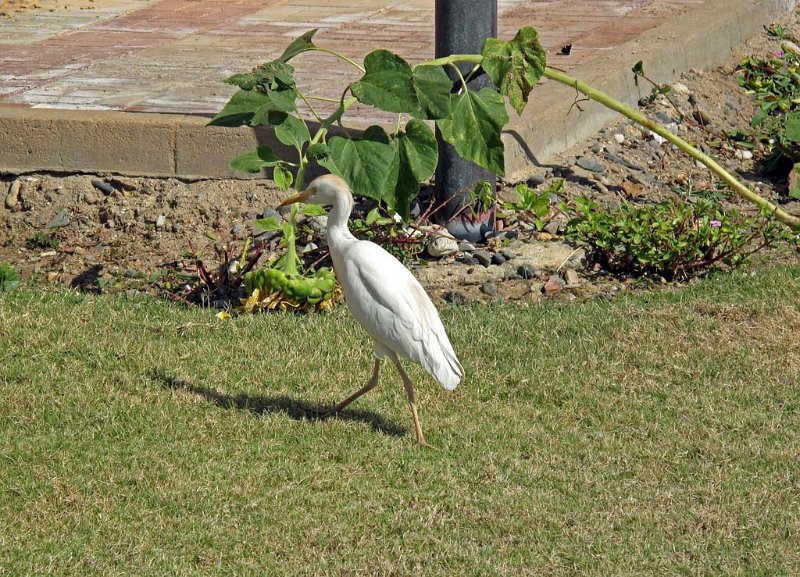 pic030.jpg