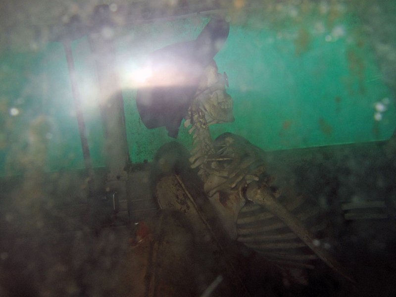 img11.jpg