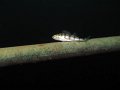 img01