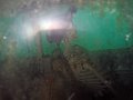 img11
