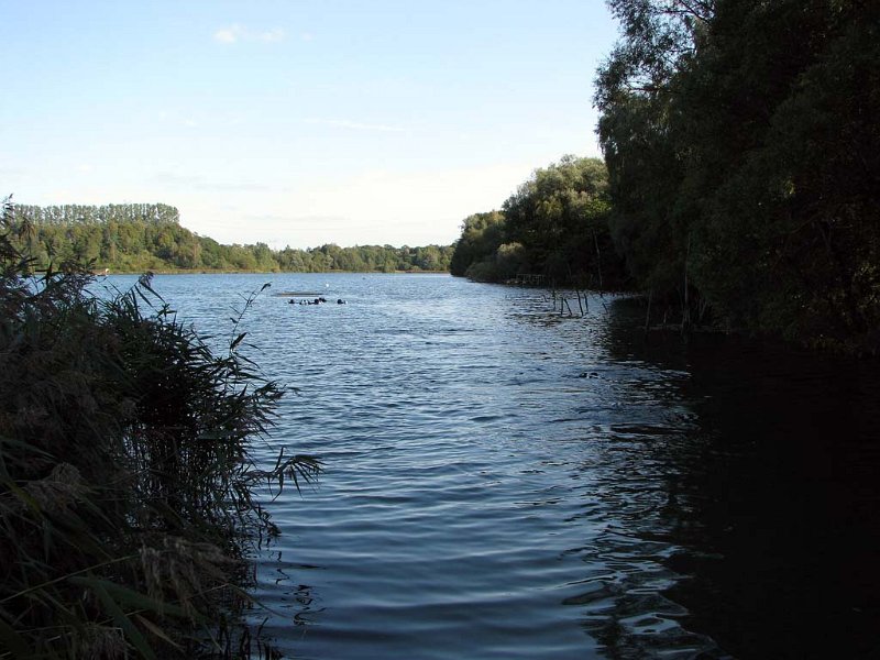 pic03.jpg