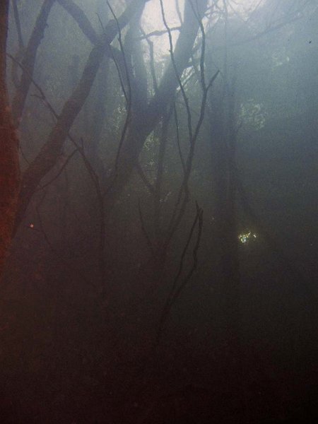 pic10.jpg