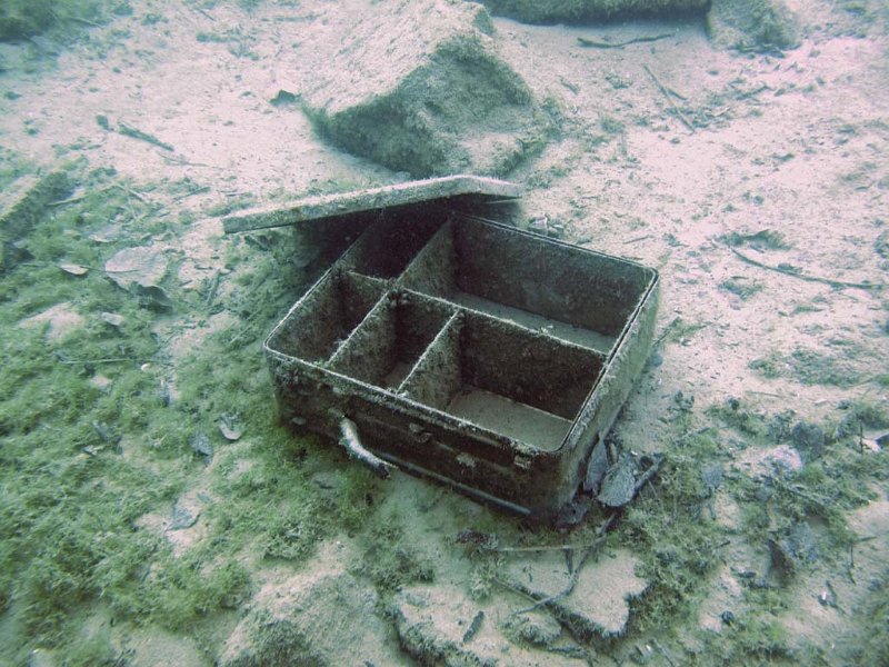 pic77.jpg