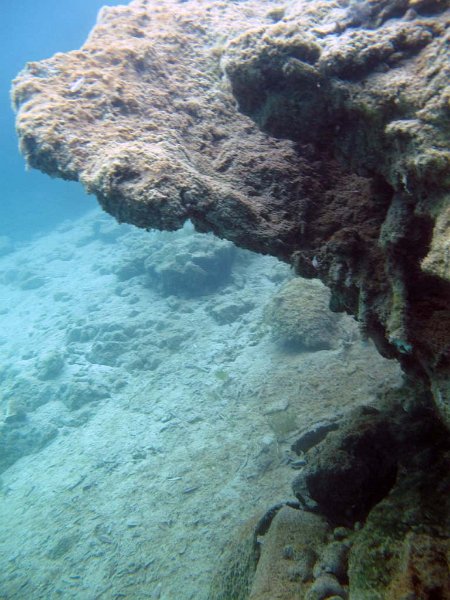 pic81.jpg
