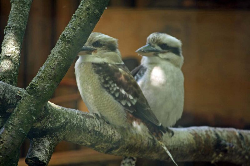 pic19.jpg