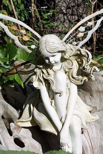 pic28.jpg