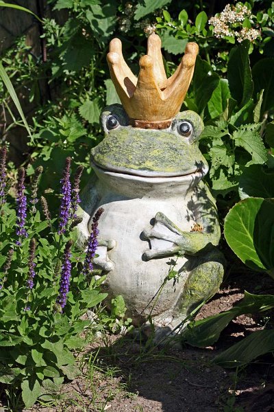 pic29.jpg