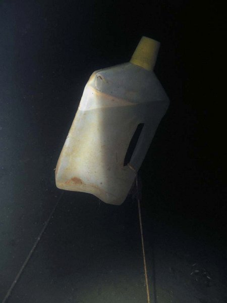 pic01.jpg
