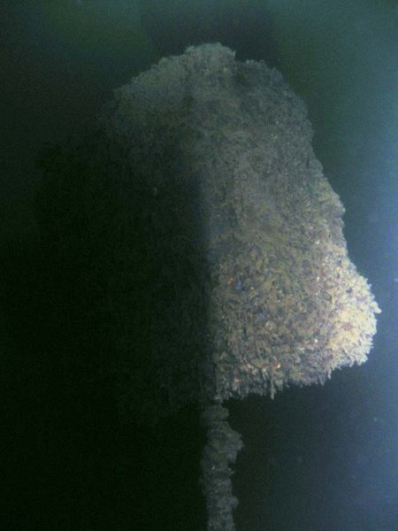 pic03.jpg