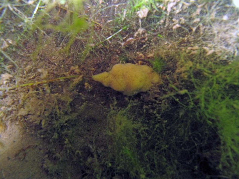 pic08.jpg