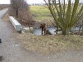 Pic08