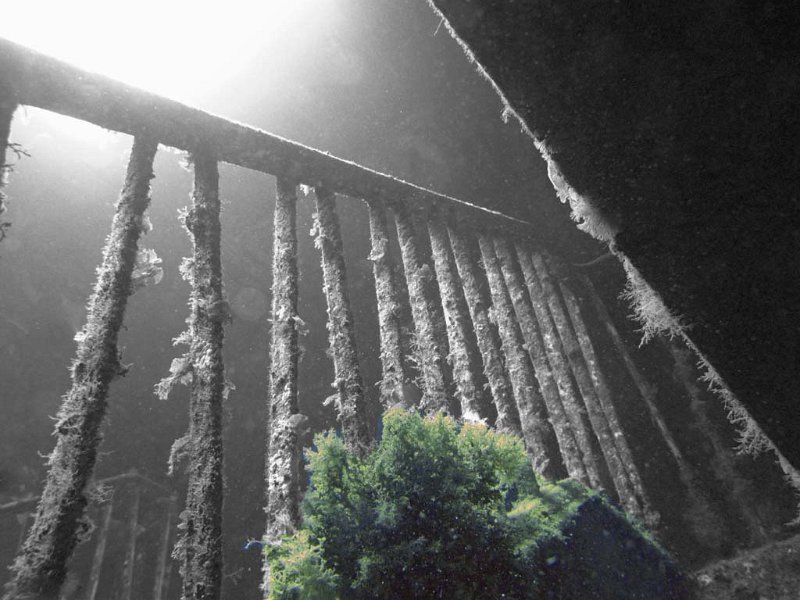 pic107.jpg
