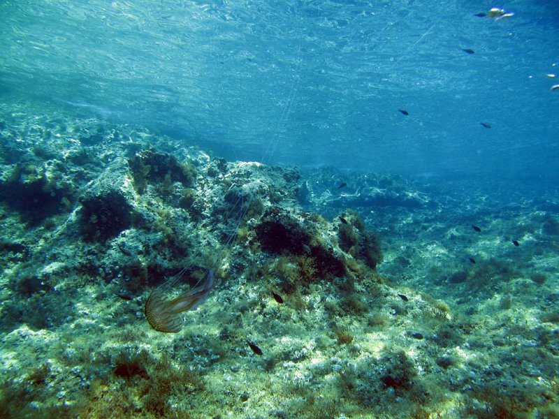 pic120.jpg