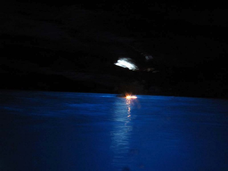 pic143.jpg