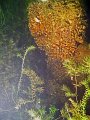 pics27