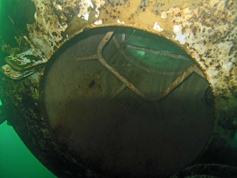 pic11.jpg