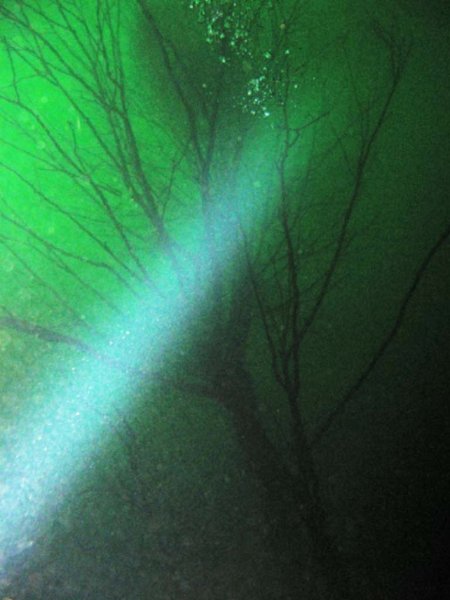 pic49.jpg