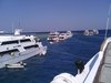 pic0107